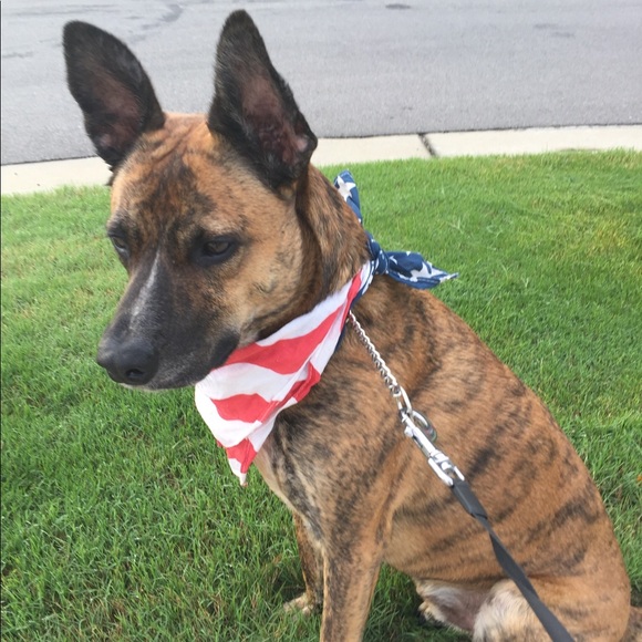 Meet your Posher, Kat - Picture 2 of 3